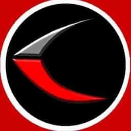 company logo