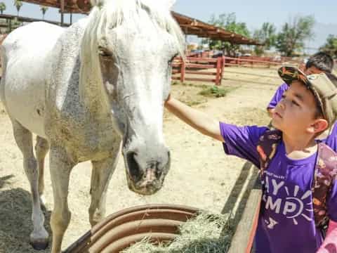 a girl petting a horse