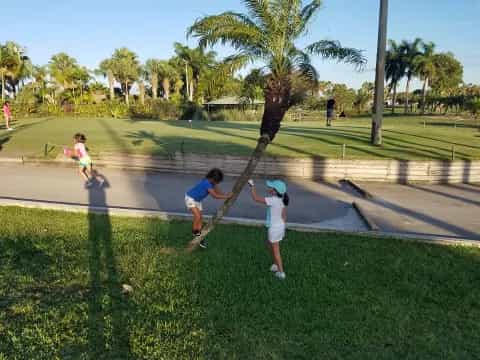 a group of kids playing in a park