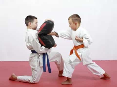 two boys in karate uniforms