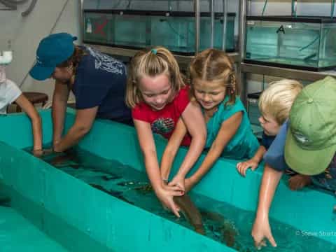 a group of children in a pool