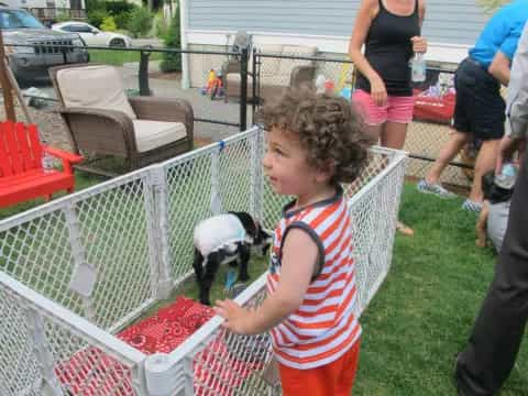 a girl holding a dog