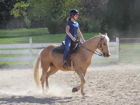 a person riding a horse