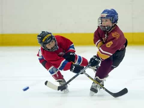 two people playing hockey