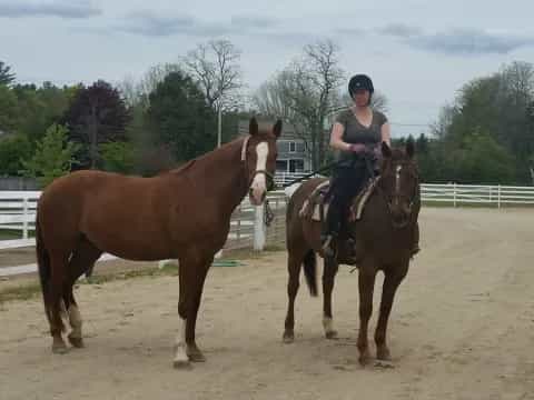 a person riding a horse