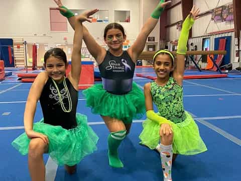a group of girls in a gym