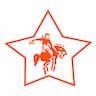 Camp Stewart for Boys company logo
