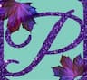 Pinspiration company logo