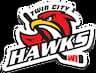 Twin City Youth Hockey Association company logo