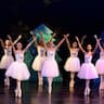 Central Maryland Youth Ballet company logo