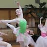 School of the Albany Berkshire Ballet company logo