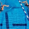 North End Swimming Club company logo