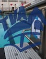 Tri Valley Aquatics Swimming company logo