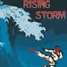 Rising Storm Training Academy company logo