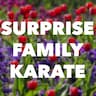 Surprise Family Karate company logo