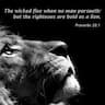 LionHeart Jiu-Jitsu Academy company logo