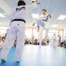 Mentors Taekwondo Academy company logo
