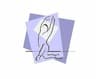 Fantastic Gymnastics company logo