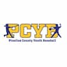 Pinellas County Youth Baseball and Softball  company logo