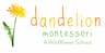 Dandelion Montessori company logo