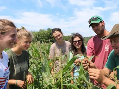 a group of people in a field