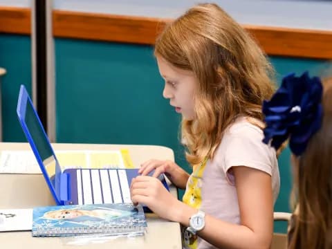 a person looking at a laptop