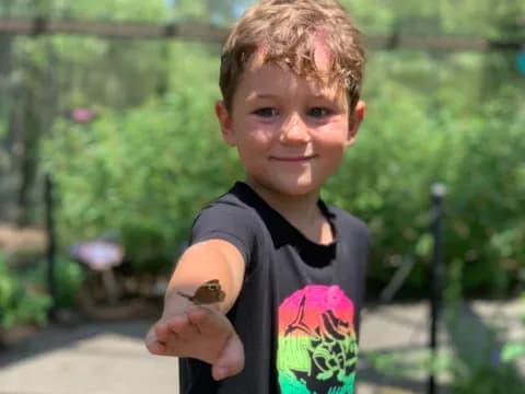 a boy holding a bird