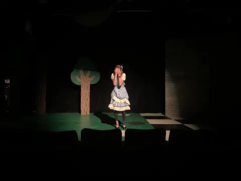 a person on a stage