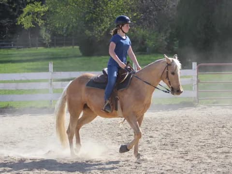 a person riding a horse