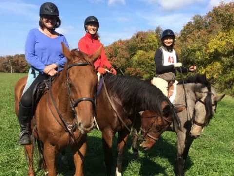 a group of people riding horses