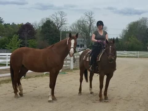 a person riding a horse
