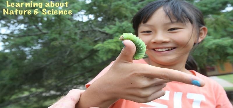 a boy holding a small bird