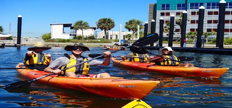 a group of people in kayaks