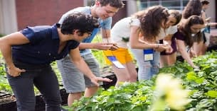 a group of people looking at plants