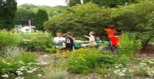 a group of people sitting in a garden