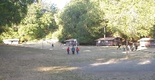 a group of people walking in a park