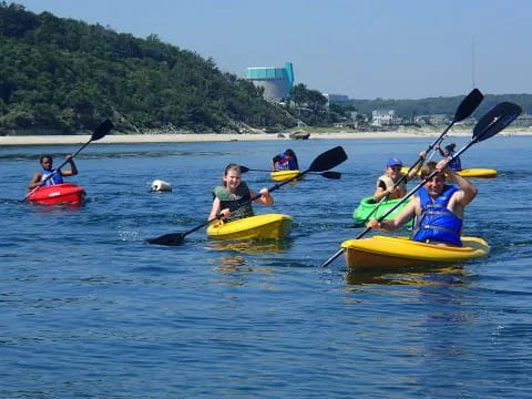 a group of people in kayaks