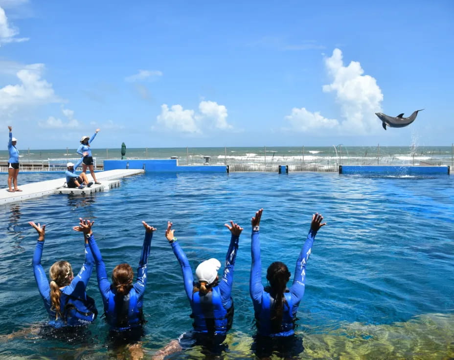 a group of people in the water
