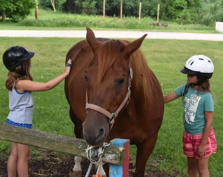 a couple of kids petting a horse
