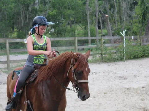a person riding a horse