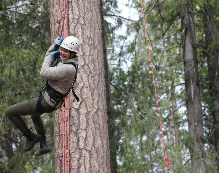 a man climbing a tree