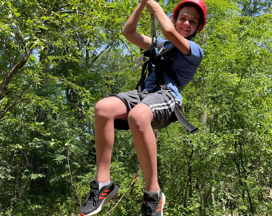 a person climbing a tree