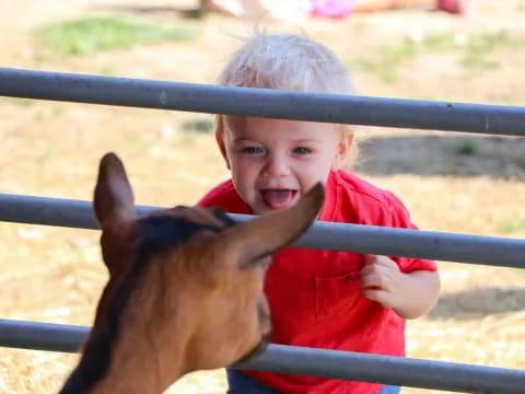 a child with a goat