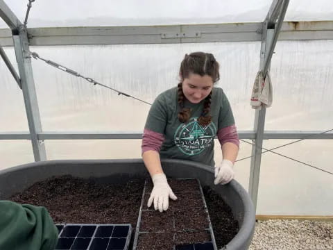 a person in a farm