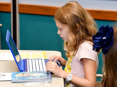 a person looking at a laptop