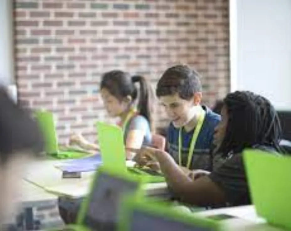 a group of students studying