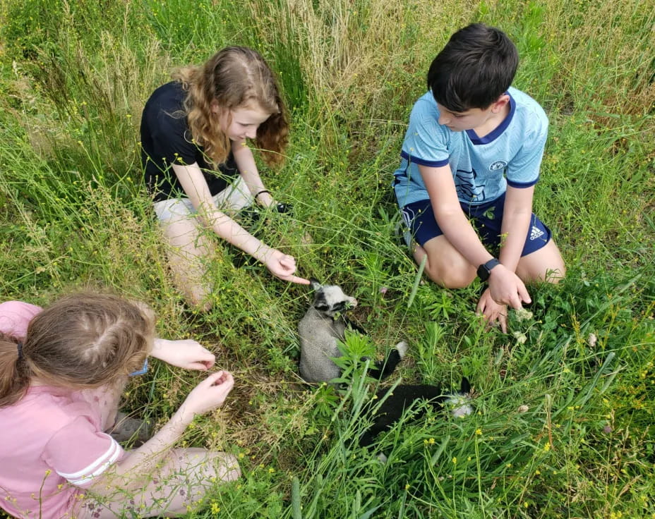 a group of people planting plants