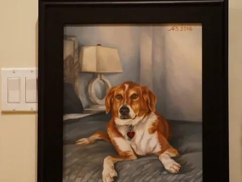a dog sitting on a bed