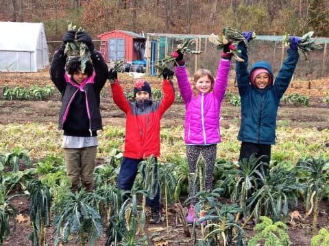 a group of children in a garden