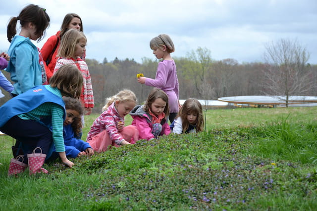 a group of children sitting in a grassy field